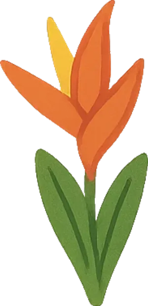 Uploaded Image