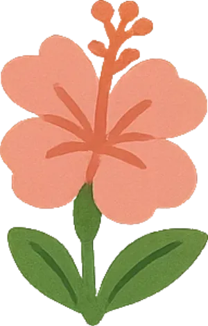 Uploaded Image
