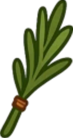 Uploaded Image