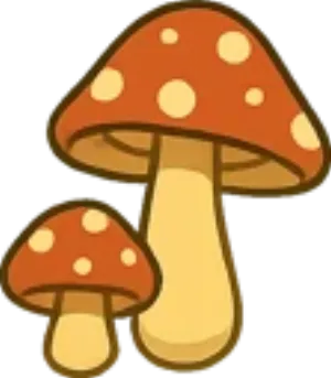 Uploaded Image