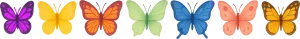 Uploaded Image