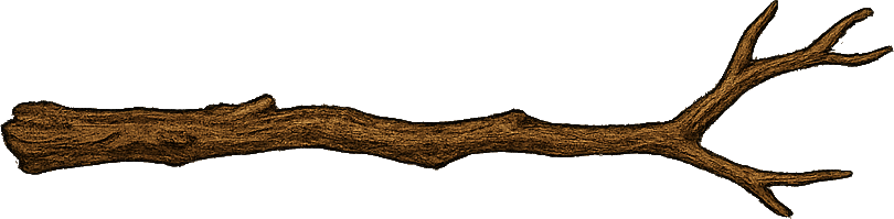Uploaded Image