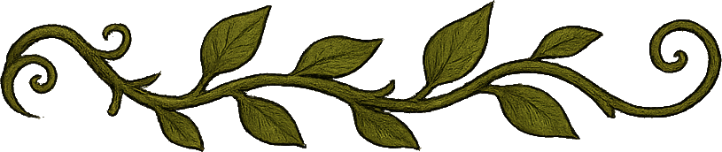 Uploaded Image