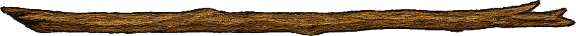 Uploaded Image